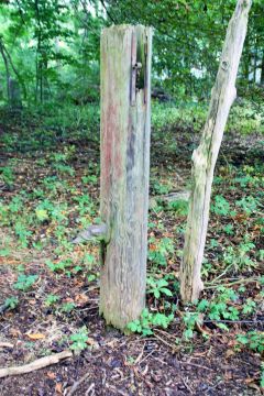 Aschersleben, alte ausrangierte Holzpumpe hinter dem Pächterhaus, Juli 2014 ; Foto: D. Schnell