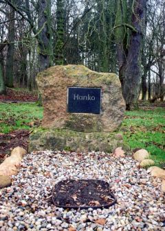 Alt-Plestlin, Gedenkstein für das erfolgreiche Turnierpferd Hanko im Gutspark, Januar 2007; Foto: D. Schnell