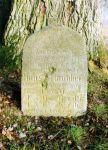 Bruchhof (Wąsosz), Gedenkstein für Hans von Grünberg aus dem Jahre 1900 vor starker Eiche in der Nähe des Parkeingangs, März 2007; Foto: D. Schnell